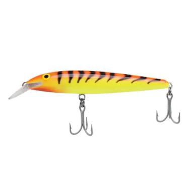 Imagem de Isca Artificial Floating Magnum 11cm 15g - Rapala, Cor HT
