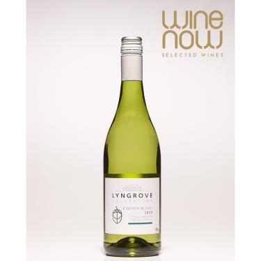 Imagem de Vinho Lyngrove Collection Chenin Blanc 2020 África do Sul