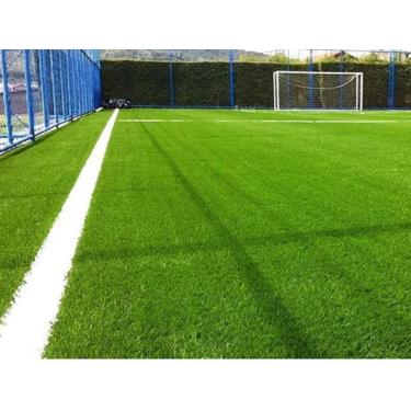 Imagem de 62.000 Sementes De Grama Bermuda Campo De Futebol (20m²)