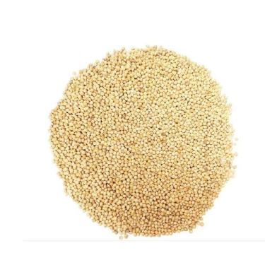 Imagem de Painço GrãoA Granel Pacote de 250g - Temper Ervas