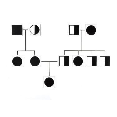 Imagem de Cartões genéticos magnéticos American Educational SI50190