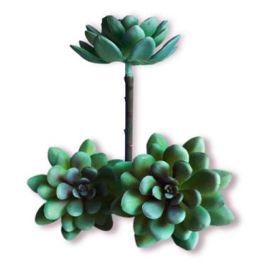 Imagem de Mini Suculentas Aniversário Maternidade Chá De Bebê - NS