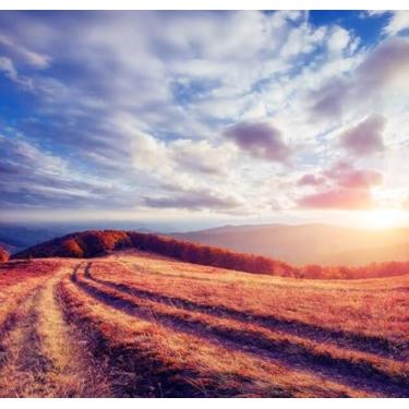 Imagem de Quadro Decorativo com Estampa Autumn Alley Retrostyle Filter Instagram Toning 40 x 40 Papel 2 unidades