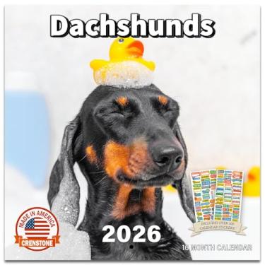 Imagem de Calendário de parede Dachshunds 2026 - Deluxe 2026 Wiener Dog Pacote com mais de 100 adesivos de lembrete de calendário (presentes Doxen, material de escritório) | Feito nos EUA