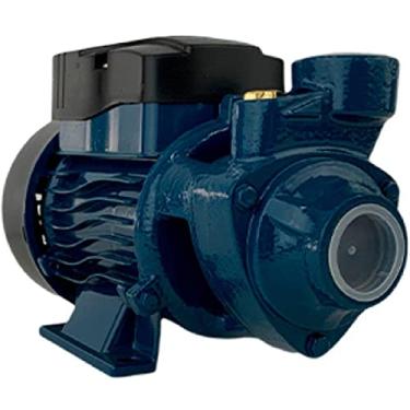 Imagem de Bomba DÁgua Motobomba Periférica Lepono BP60 0.5 Hp Mono 1 Pol