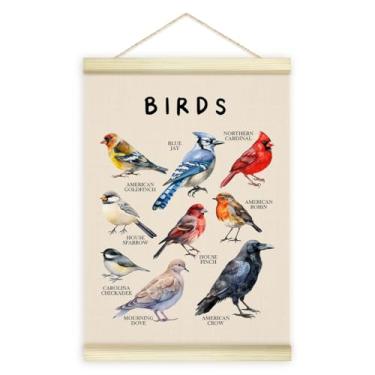 Imagem de Utaqer Pássaros Moldura vintage para pôster, ilustração de pássaros, impressão de arte em tela de madeira, decoração de parede engraçada para sala de aula, quarto, sala de estar, escritório, quarto