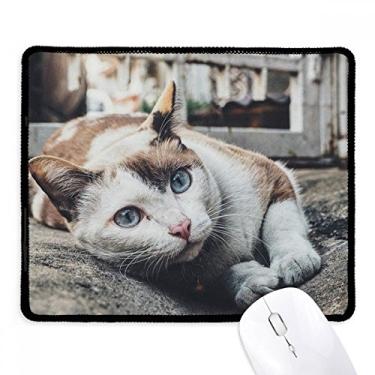 Imagem de Mousepad com foto de gato colorida de animais, borda costurada, tapete de borracha para jogos