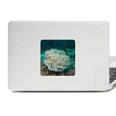 Imagem de Decalque de vinil verde água-viva ciência natureza paster laptop decoração PC