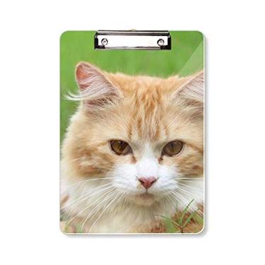 Imagem de Listras amarelas Cat Stare Pet Animal prancheta pasta bloco de escrita placa de apoio A4