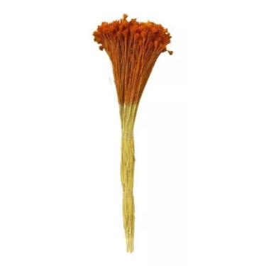 Imagem de Buque Flor Espeta Nariz Laranja Desidratado Arranjos Decor - FLORA FUL