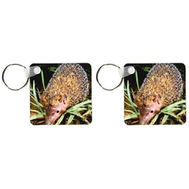 Imagem de 3dRose Madagascar, Ankarana, Greater Hedgehog tenrec wildlife-AF24 POX0057 - Pete Oxford - chaveiros, 5,7 x 11,4 cm, conjunto de 2 (kc_76253_1)