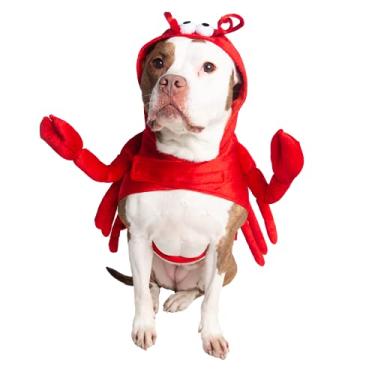 Imagem de Pet Krewe Fantasia de lagosta para cães | Fantasia extra grande para cães 1º aniversário, Dia nacional do cão e celebrações | Roupa de Halloween para gatos e cães pequenos, médios, grandes e GG