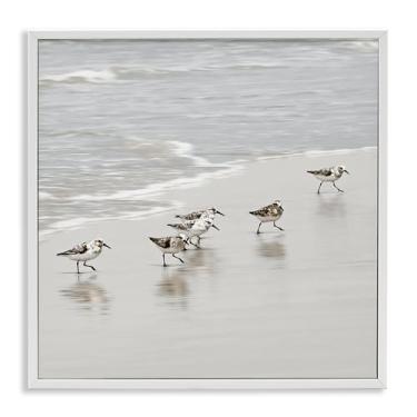 Imagem de Stupell Industries Pássaros Sandpiper Scurrying White Framed Giclee Art Design por Natalie Carpentieri, 17 x 17