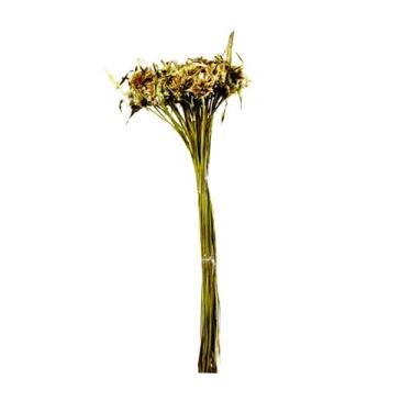 Imagem de Ceboão Natural Desidratado - Pense Flores