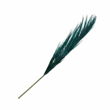Imagem de Capim Dos Pampas 90cm - Verde (Haste) - Pense Flores