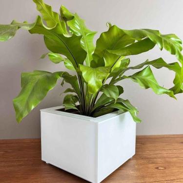 Imagem de Vaso Zara Pequeno Para Decoração De Interiores