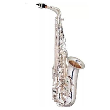 Imagem de SAX ALTO EAGLE SAX-510-S MASTER SERIE BRONZE SAPATILHAS ITALIANA BANHO DE PRATA PROFISSIONAL