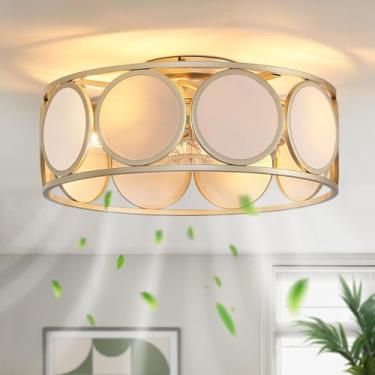 Imagem de Ventilador de teto enjaulado com luz - Ventilador de teto de perfil baixo de 50 cm com luzes, lustres modernos de montagem embutida com luzes e controle remoto, ventiladores de teto silenciosos de 6