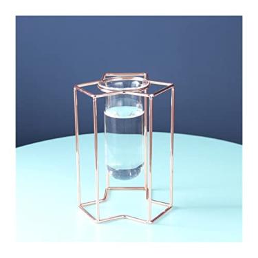 Imagem de Vaso de decoração de casa estilo nórdico ornamentos de luxo luz para casa vaso de vidro hidropônico pequeno arte de ferro flores secas mesa de jantar decoração macia vaso de flores (cor: A1) (C3)