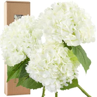 Imagem de FiveSeasonStuff Flores frescas de hortênsia de toque real branco neve – 3 hastes grandes florais artificiais para buquês faça você mesmo, estilo doméstico, centros de mesa, decoração de mesa – caixa