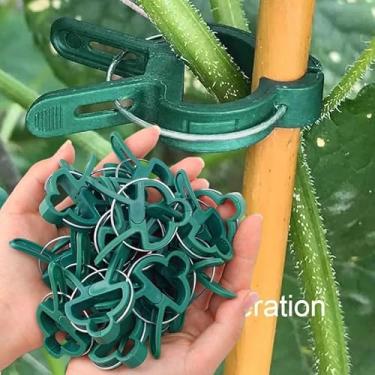 Imagem de 20 pçs Horticultura Borboleta Orquídea Tomate Planta Clipes Fixos Reutilizáveis Suporte de Estufa para Plantas de Jardim, P (3 * 4,5 cm)