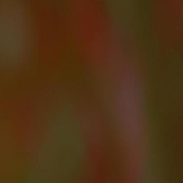 Imagem de Quadro decorativo com estampa abstrata tons terrosos e foco suave para salas e escritórios 50x50cm