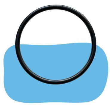 Imagem de Anel Oring Da Tampa Do Pré Filtro Bomba Piscina Nautilus Nbf