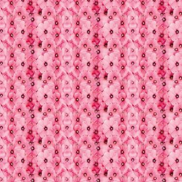 Imagem de Papel De Parede Floral Flores Rosa Claro Autocolante Quarto