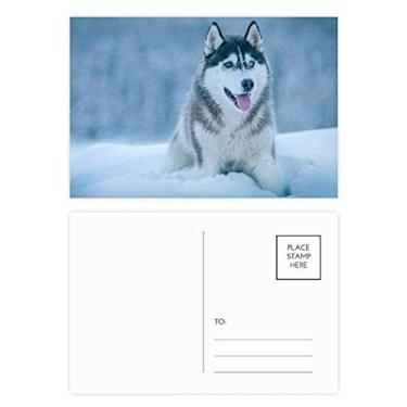 Imagem de Dog Animal Snow Husky conjunto de cartões postais de aniversário para enviar cartões de agradecimento