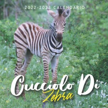 Imagem de cucciolo di zebra Calendario: Calendario 2022 2023-8.5''x8.5'' - Regali per la famiglia e gli amici