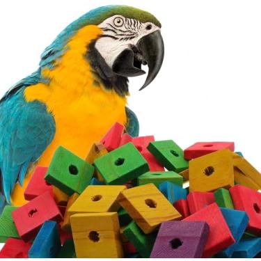Imagem de DmoyS Brinquedos para pássaros, 100 peças de brinquedos de papagaio de madeira, blocos de madeira natural multicoloridos, papagaios cinzentos africanos, araras, cacatuas, brinquedos de mastigar