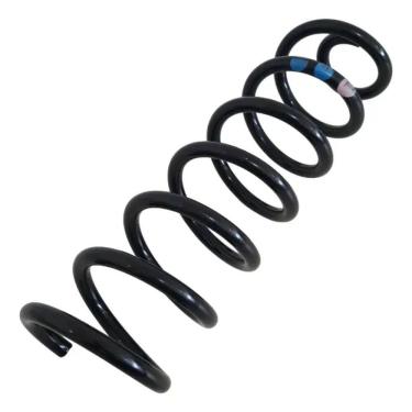 Imagem de Renault Sandero 1Un Mola Suspensão Traseira Genuíno