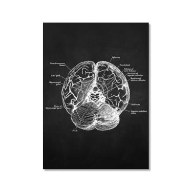 Imagem de Fundo preto anatomia humana arte médica impressões em tela imagens esqueleto músculo pôster vintage educação pintura arte decoração de parede (SKU7,16x20" = (40x50 cm), sem moldura)