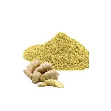 Imagem de Gengibre em Pó 50g - Zingiber Officinalis - no-brand