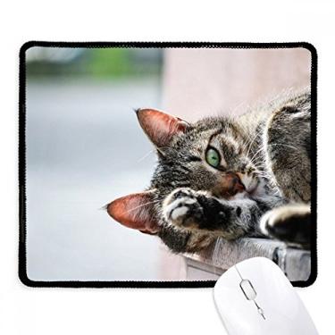 Imagem de Mousepad com foto de gato para atividade animal, borda costurada, tapete de borracha para jogos