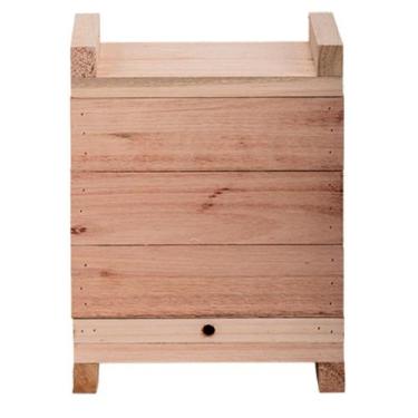 Imagem de Caixa De Abelha Inpa 20x20 Abelha Sem Ferrão Eucalipto - Apiario Melip