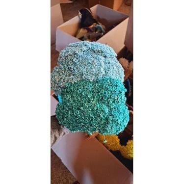 Imagem de Flores Sempre Viva Secas para Decoração – Kit 300 a 2100 Unidades Ideal para Festa Casamento e Arranjos (Tifany,7 buquês)