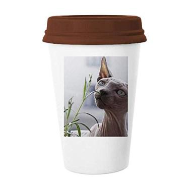 Imagem de Caneca de foto de gato fino cinza animal caneca café copo cerâmica copo tampa
