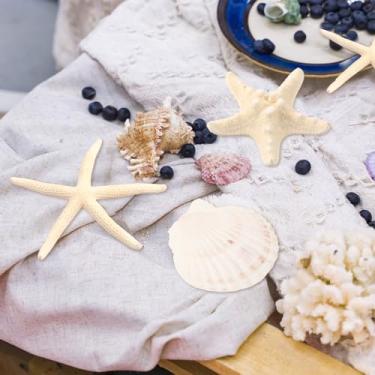 Imagem de 18 peças de concha de estrela do mar e vieiras para artesanato, tema de praia, decoração de casamento, decoração de parede de casa, enfeites de Natal