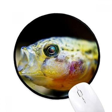 Imagem de DIYthinker Tapete de rato de organismo marinho pequeno peixe tropical desktop escritório tapete redondo para computador