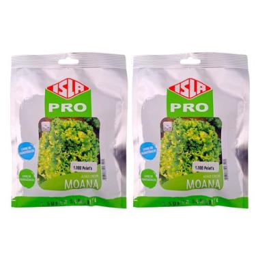 Imagem de Kit 2 Unid Alface Crespa Moana isla 1000 Sementes Peletizadas Volumosa
