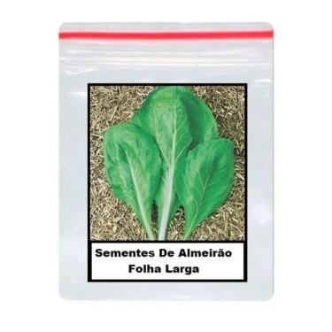 Imagem de Sementes De Almeirão Folha Larga 100 unidades - GDEZ