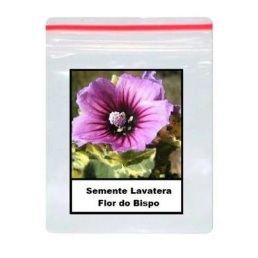 Imagem de 50 Sementes De Lavatera Flor do Bispo - TOPSEED