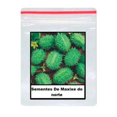 Imagem de Sementes De Maxixe do norte 100 unidades - ISLA