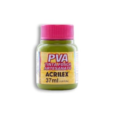 Imagem de Tinta PVA Fosca para Artesanato Acrilex 37 ml Verde Pistache- 570