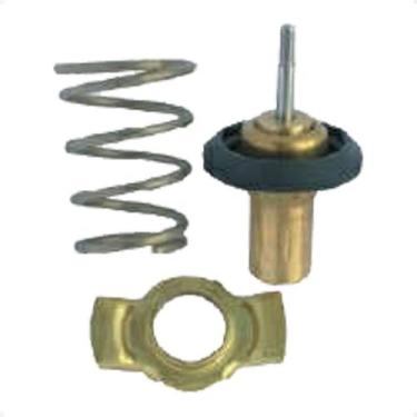 Imagem de Termostato TIPO 1993/1996 - 29539 - 226287 - Fiat