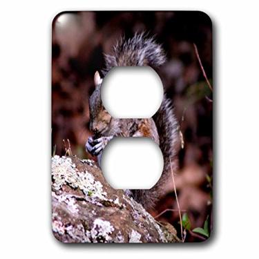 Imagem de 3dRose lsp_127842_6 A Squirrel Enjoying His Meal A Squirrel Eating A Nut Ontop of A Rock 2 Plug Outlet Cover
