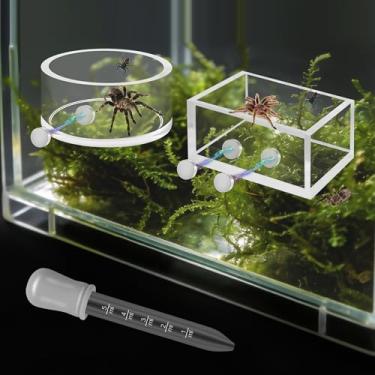 Imagem de Windspeed 2 + 1P 4,6 cm Mini prato de alimentação de aranha saltadora ímã tarântula tigela de água para alimentador de aranha prato de água para acessórios de gabinete de tanque de tarântula, com um