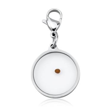 Imagem de Pingente de semente de mostarda com zíper, pingente de semente de mostarda de aço inoxidável, clipe de zíper, joia religiosa cristã, presente para homens e mulheres, professores de escola dominical