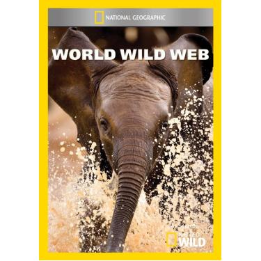 Imagem de World Wild Web